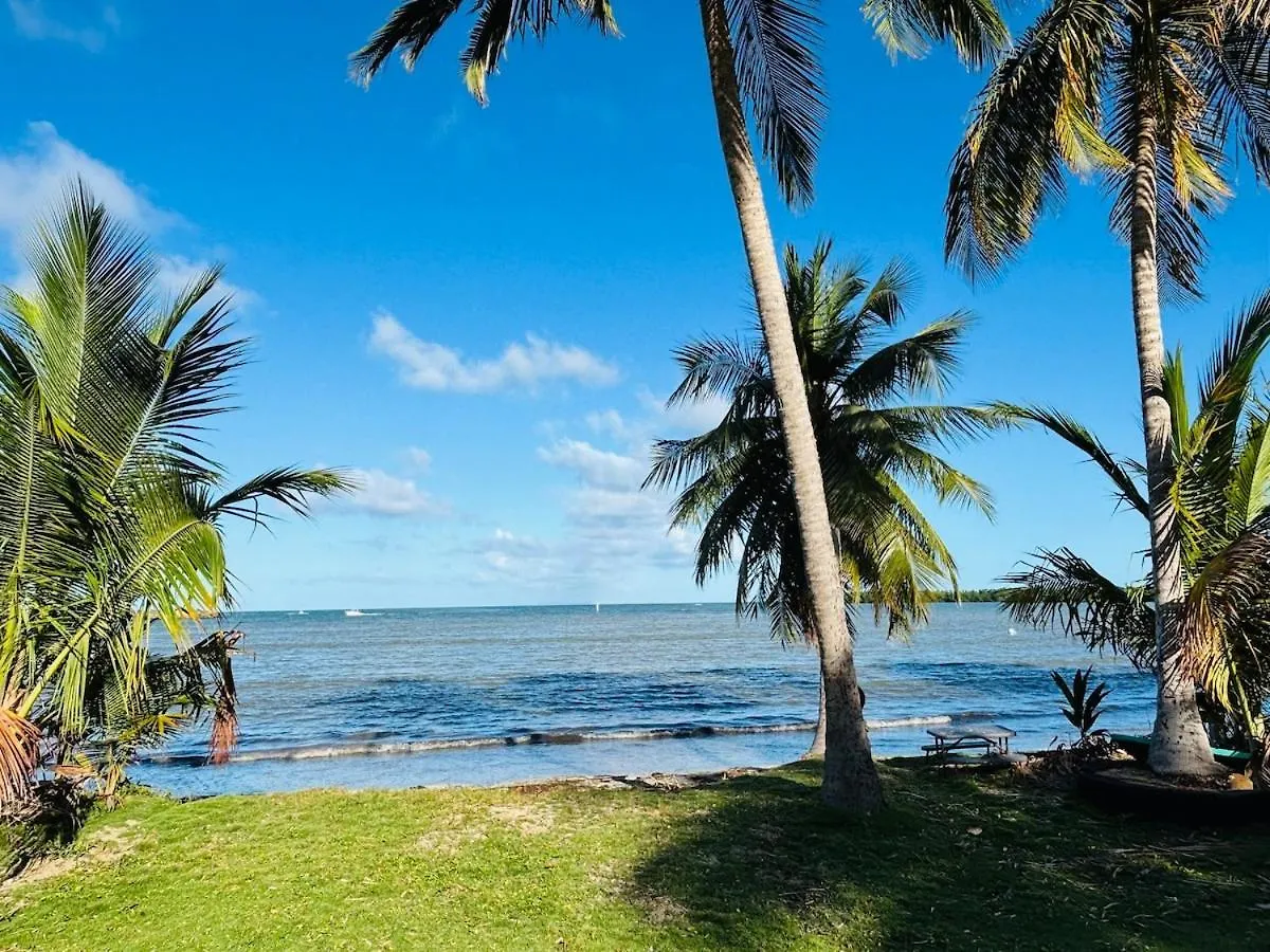 Mami Ana Beach House, The Oceanfront Rest Hideaway ! Ceiba 0*,  푸에르토리코